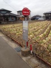 「今泉中村」バス停留所