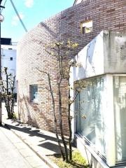 岡歯科医院