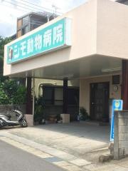 シモ動物病院