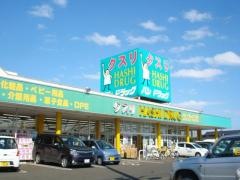 ハシドラッグ北店