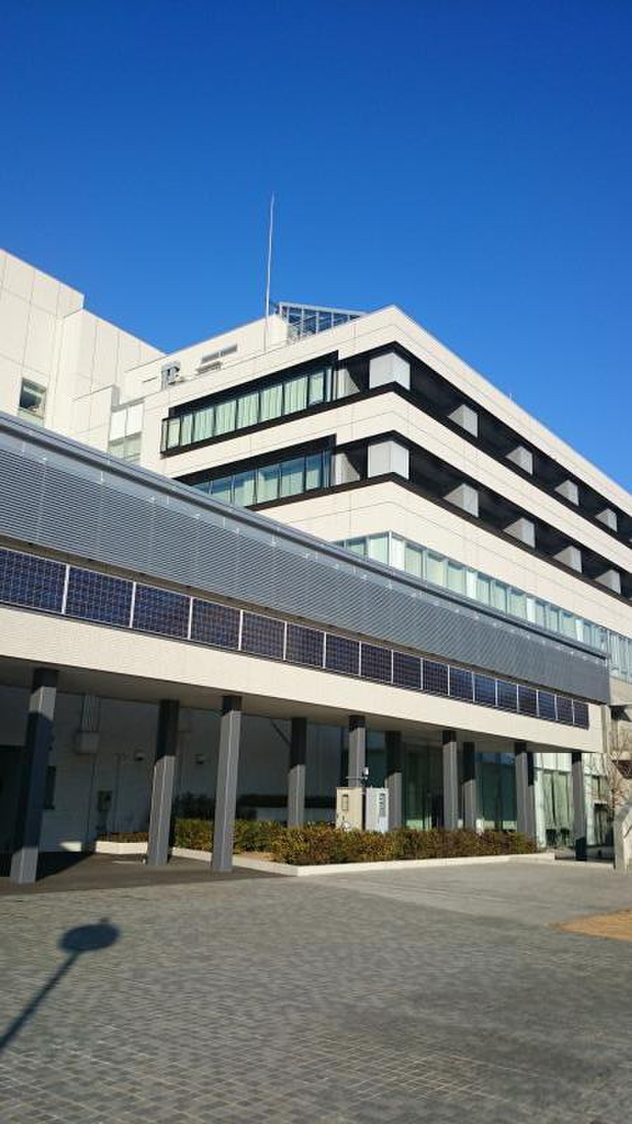 法政 大学 小金井 キャンパス