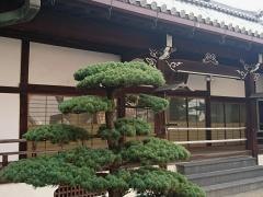 浄慶寺