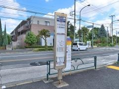 「学芸大正門」バス停留所