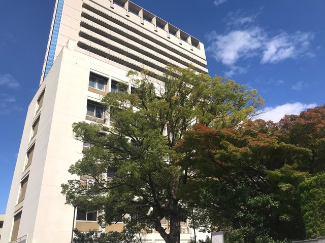 投稿写真7