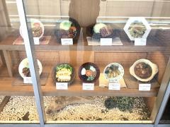 大戸屋ごはん処　エイスクエア草津店