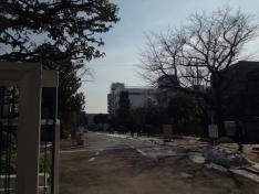 昭和女子大学附属昭和高等学校