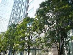 日本食品化工株式会社