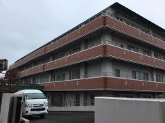 アルカディア