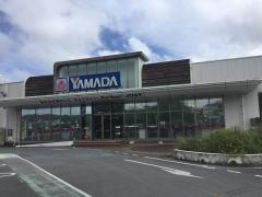 ヤマダ電機　テックランドイオンタウン南城大里店