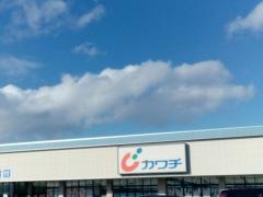 カワチ薬品　古川駅東店