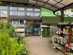 ダイシン桂店