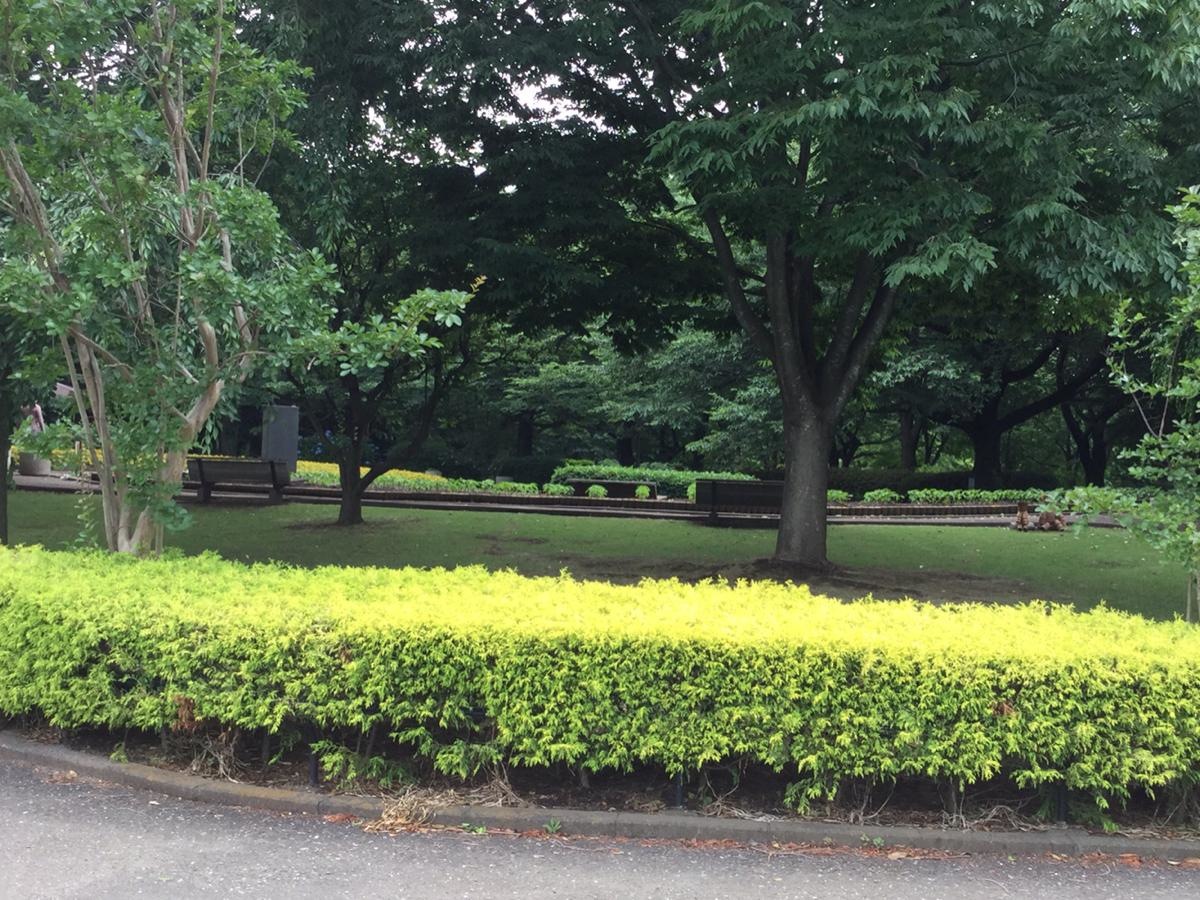 公園