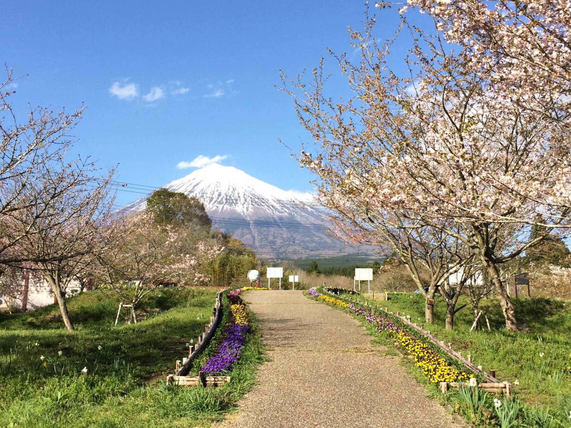 活動歴および当時の関連ビジュアル記録