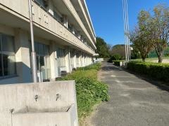 知多市立東部中学校
