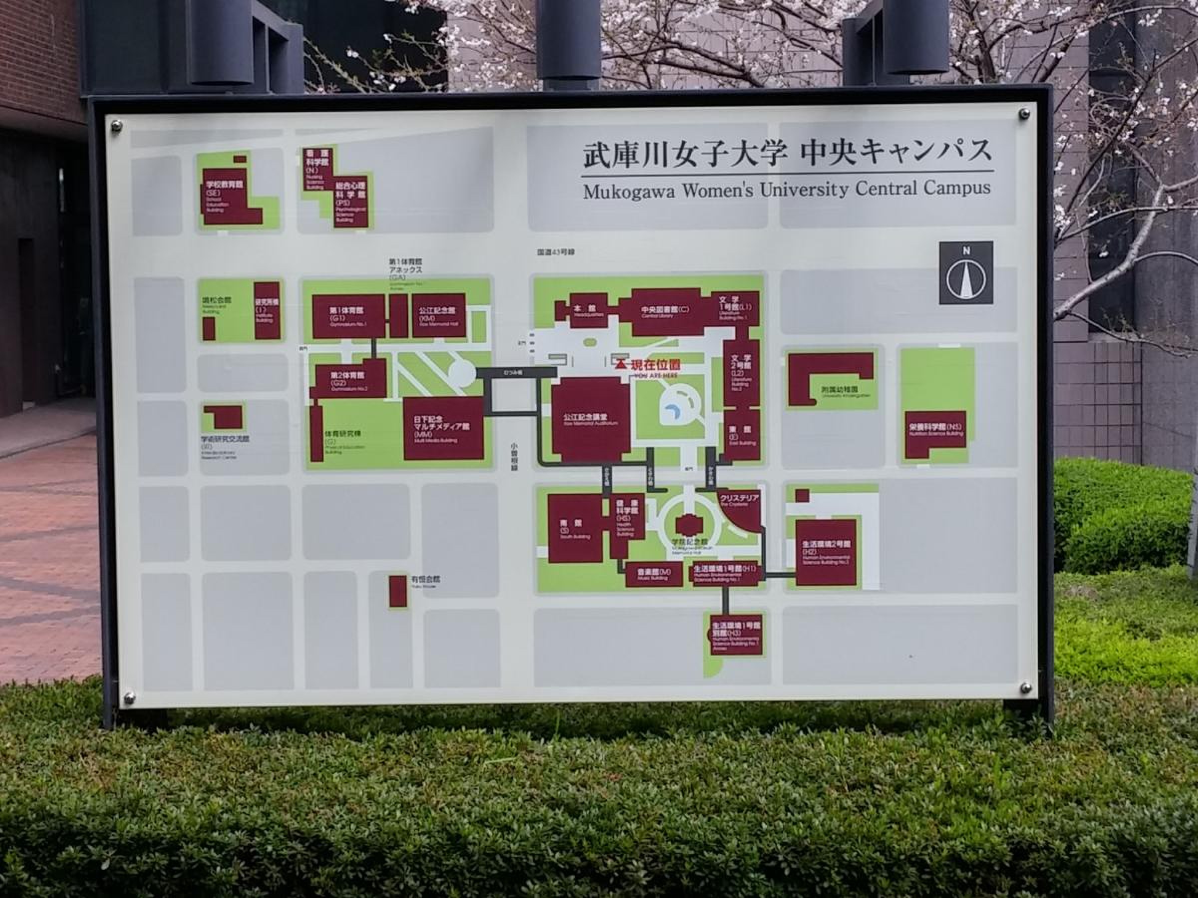 武庫川 女子 大学 中央 キャンパス