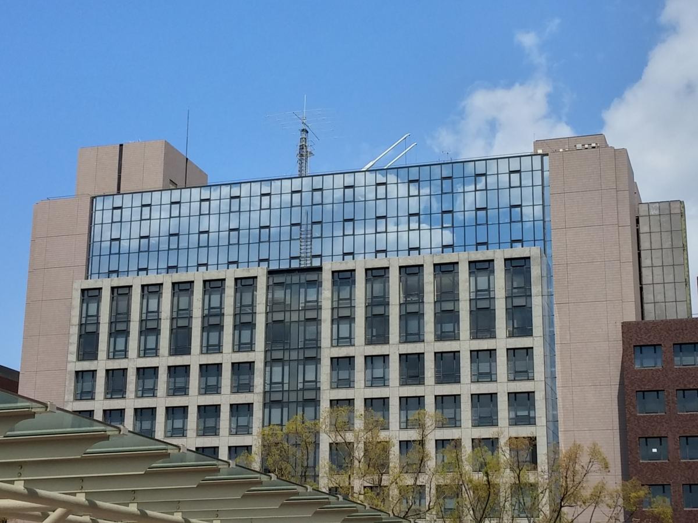 公の場での発言・インタビュー報道記録