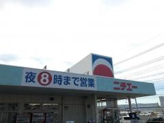 ニチエー柳津店