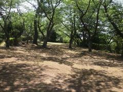 若山公園