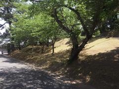 若山公園