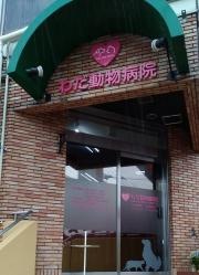 わだ動物病院