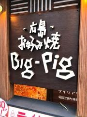 ビッグ・ピッグ（ＢＩＧ・ＰＩＧ）神田カープ本店