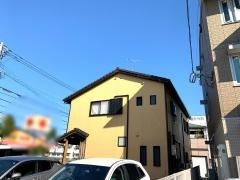 照政