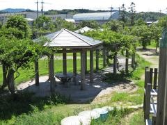 河北中央公園