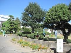 松島幼稚園