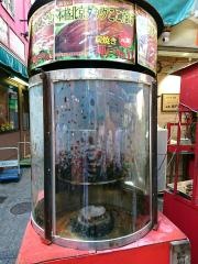 中華旬菜・華鳳