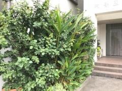 村手内科小児科医院