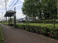 「新光中央公園」バス停留所