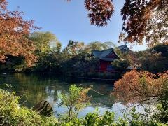 井の頭恩賜公園