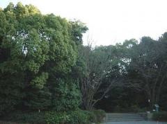 太平公園