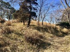 三重1号緑地