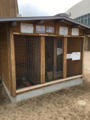香住幼稚園