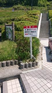 笠戸島家族旅行村