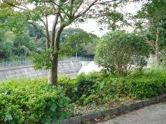 柏の森緑地