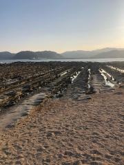 鬼の洗濯板