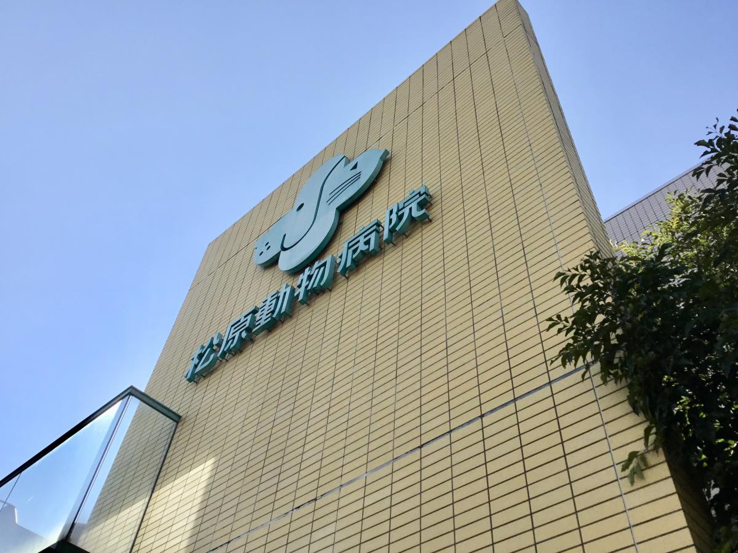 松原 動物 病院