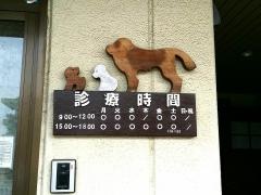 坂本獣医科病院
