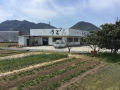 てら屋うどん