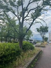 美容整体サロン縁ｅｎｉｓｈｉ