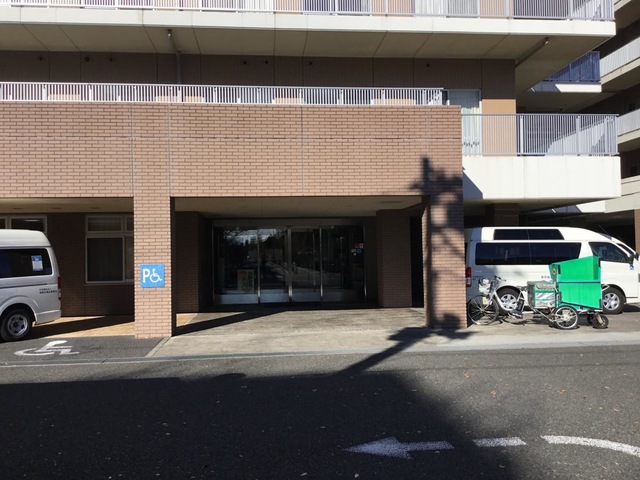 江古田の森