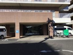 江古田の森