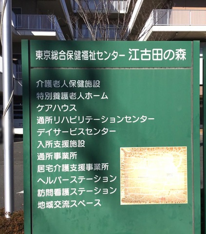 江古田の森