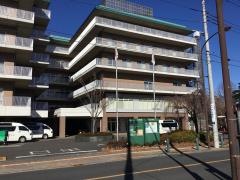 江古田の森