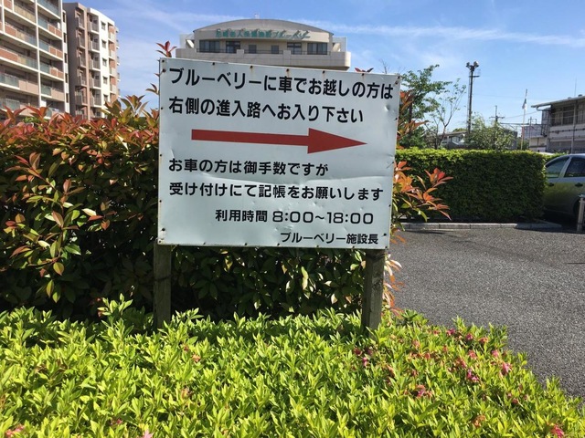 尼崎老人保健施設ブルーベリー