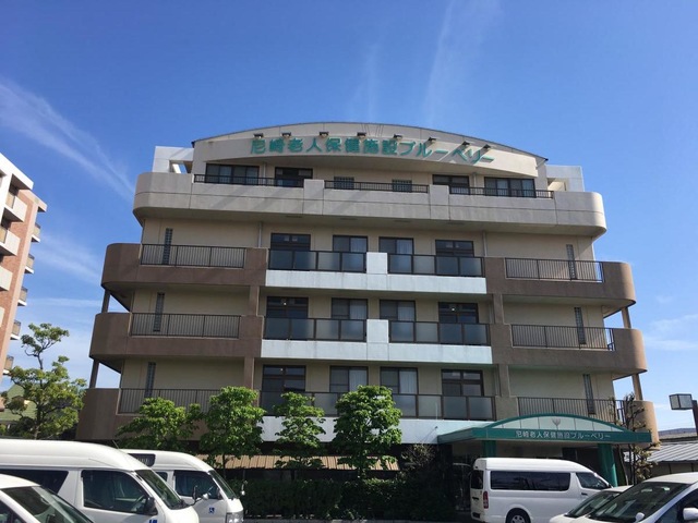 尼崎老人保健施設ブルーベリー