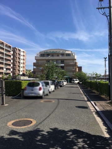 尼崎老人保健施設ブルーベリー
