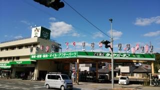 タイヤガーデン　ツジガイト